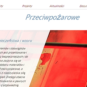  Andreu Web in Polish